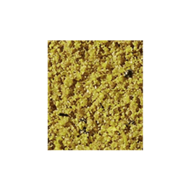 patee gold canari profi